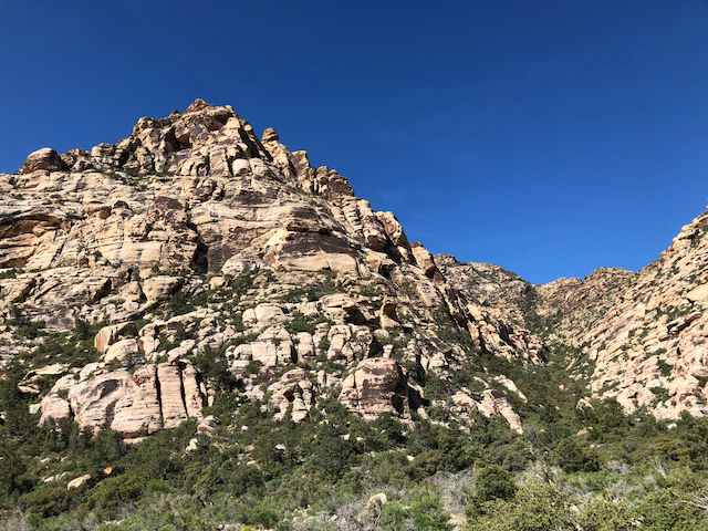 Red Rock Canyon Stop 3